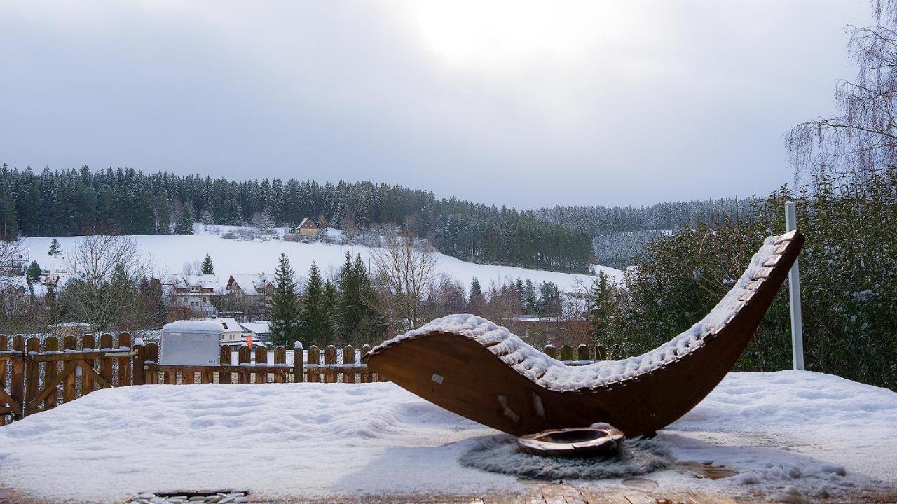 Entire House In Schwarzwald With Mountain View, Private Sauna, Gym, Garden And Terraces Unterkirnach Екстер'єр фото