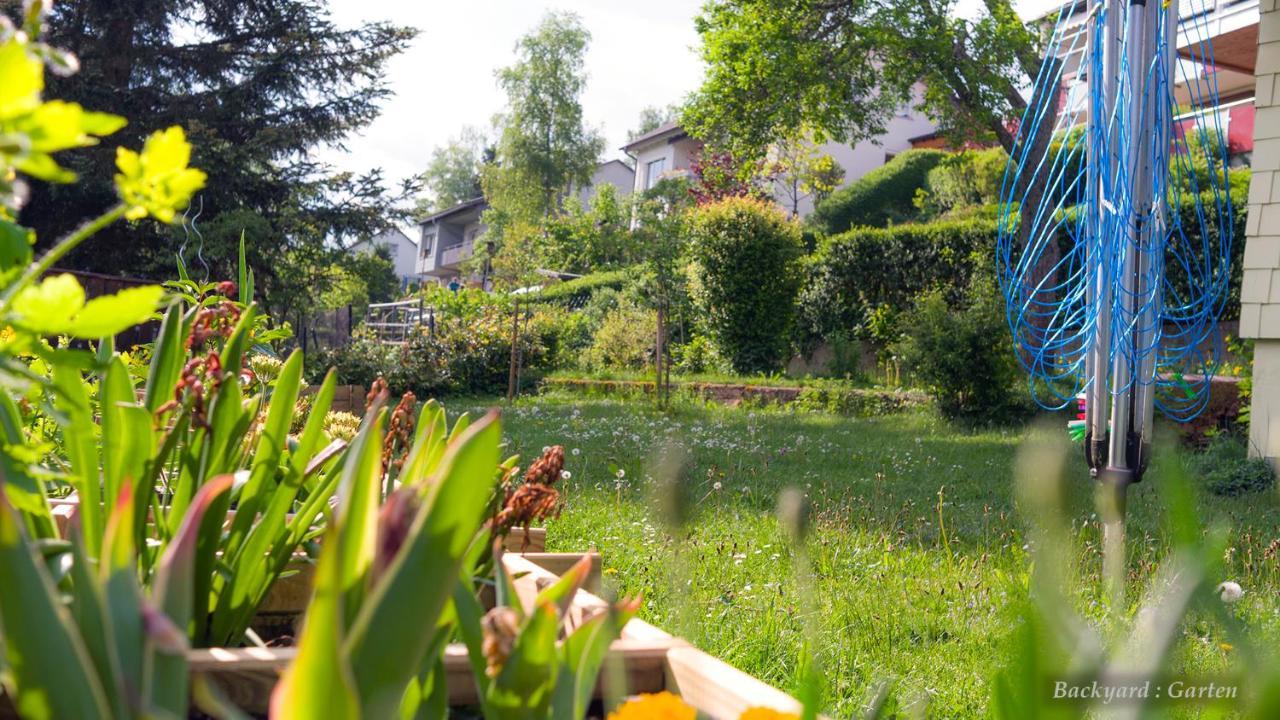 Entire House In Schwarzwald With Mountain View, Private Sauna, Gym, Garden And Terraces Unterkirnach Екстер'єр фото