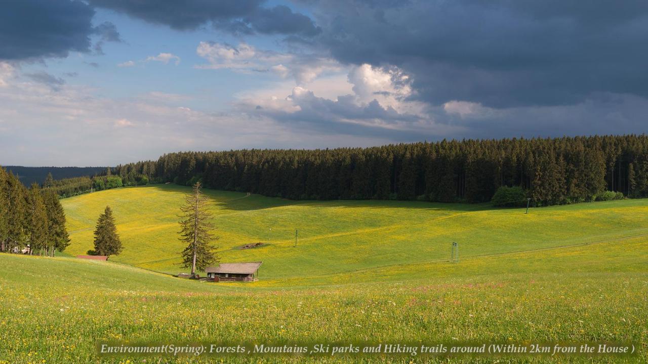 Entire House In Schwarzwald With Mountain View, Private Sauna, Gym, Garden And Terraces Unterkirnach Екстер'єр фото