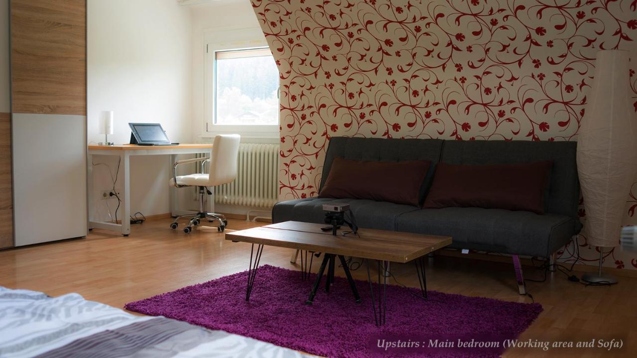 Entire House In Schwarzwald With Mountain View, Private Sauna, Gym, Garden And Terraces Unterkirnach Екстер'єр фото
